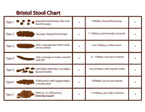 bristols stool chart gaps diet pinterest gaps diet