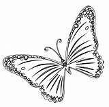 Coloring Wecoloringpage Butterfly sketch template