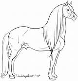 Coloring Pages Horse Lineart Drawings Horses Stallion Warmblood Sketches Drawing Line Easy Sketch Animal Gaited Google Colouring Deviantart Beautiful Adult sketch template
