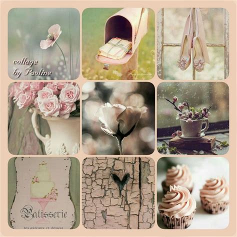 miei collage  paoline photo collage collage mood board