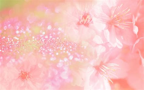 fabulous pink flower backgrounds  psd ai
