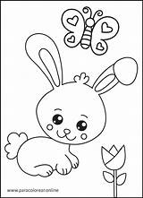 Colorear Conejos Paracolorear Conejo sketch template