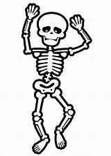 Skeleton Skelett Skeletons Ausmalbild sketch template