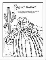 Cactus Coloring Saguaro Stunning sketch template