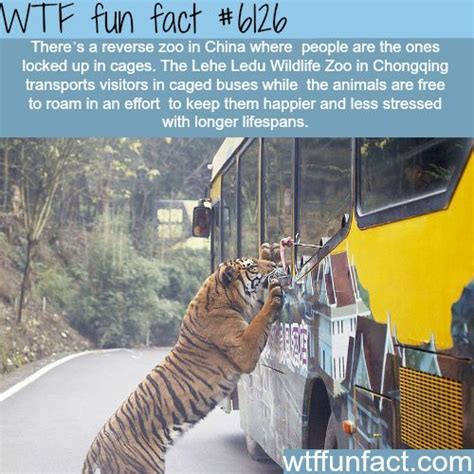 wtf fun facts   blog  interesting funniest facts  post  health celebspeople
