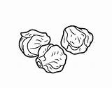 Sprouts Coloring Brussels Sprout Drawing Colorear Pages Coloringcrew Getdrawings sketch template