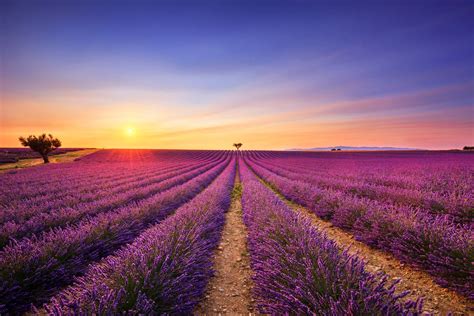 gratis reisgids provence frankrijk de mooiste plekjes