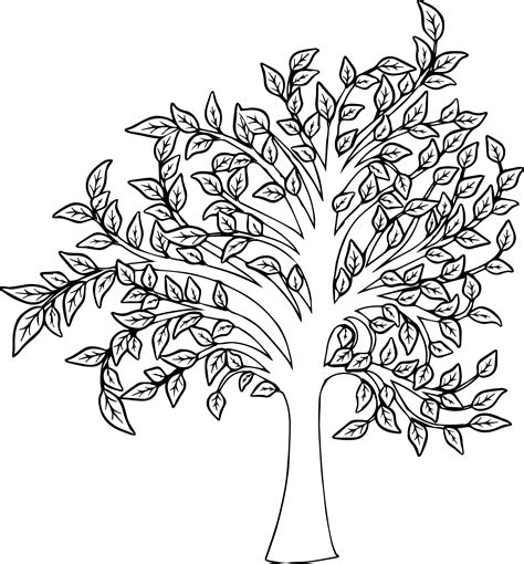 autumn tree coloring coloring pages