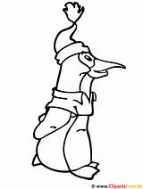 Pinguin Ausmalbild Penguin Malvorlage Zugriffe Malvorlagenkostenlos Titel sketch template