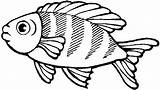 Fische Peces Fisch Tropicales Drucken Procoloring Malvorlagen Ausmalbildertv Idibujos sketch template