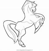 Coloring Pages Horseland Sunburst Horse Horses Colouring Allen Iverson Scarlet Color Paarden Visit Draw Getcolorings sketch template