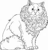 Cat Lineart Fluffy F2u Tzi Lady Drawing Deviantart Getdrawings sketch template