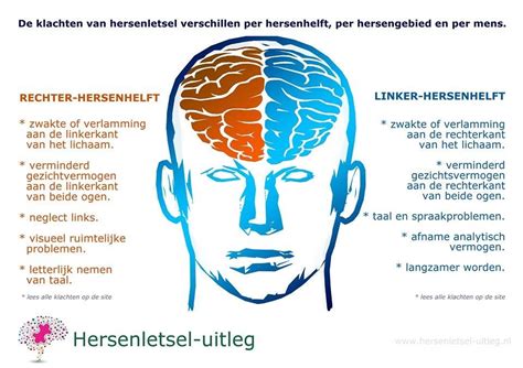 poster linker en rechterhersenhelft functies en voorkeuren hersenletsel uitlegnl