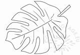 Jungle Tropical Leaves Leaf Coloring Pages Printable Drawing Shape Palm Color Template Branch Getdrawings Getcolorings Paintingvalley Choose Board Salvo Safari sketch template