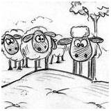 Sheep Coloring Shaun Flock Looked sketch template
