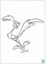 Roadrunner Coyote Coloringhome Clipart sketch template