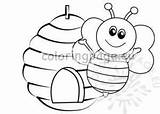 Beehive Bee Bees Coloringpage sketch template