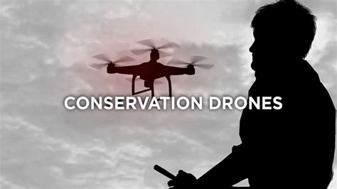 conservation drones youtube