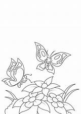 Farfalle Mariposas Colorear Butterflies Kleurplaat Vlinders Lente Stampare sketch template