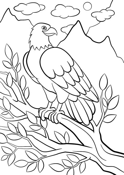 bird coloring pages printable
