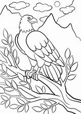 Birds Cute Aves Feathered 30seconds Sits Parrot sketch template