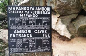 amboni caves tansania im reich der fledermaeuse burning feet adventures