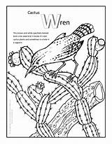 Cactus Coloring Pages Printable Paul Kids Bunyan Wren Print Drawing Sheet Desert Book Color Colouring Barrel Bestcoloringpagesforkids Kokopelli Flower Bird sketch template