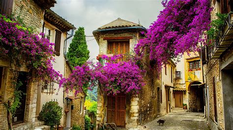 provence france wallpapers top  provence france backgrounds wallpaperaccess