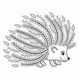 Hedgehog Igel Colouring Ausmalbild Doodle Grafiken sketch template