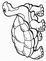 Desert Tortoise Coloring Animals Pages Color Clipart Animal Clip Sheets Print Cliparts Sheet Turtles Kids Cartoon Colouring Printable Reptiles Template sketch template