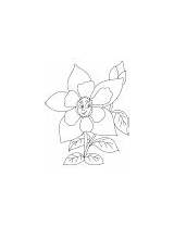 Columbine Coloring Blooming Yellow Flower sketch template
