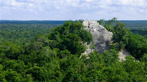 calakmul mayan ruins  campeche