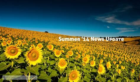integrated sustainability summer  news update  wastewater  torches