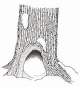 Hollow Tree Clipart Coloring Reversed Janbrett Cliparts Clipground 7kb 314px Library sketch template