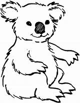 Coloring Animal Koala Cute Printable Color Koalas Bear Pages Kids Cartoon Animals Drawing Books Numbers Class Baby Print sketch template