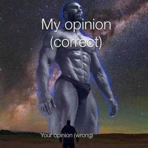 opinion correct   opinion wrong gigachad   meme