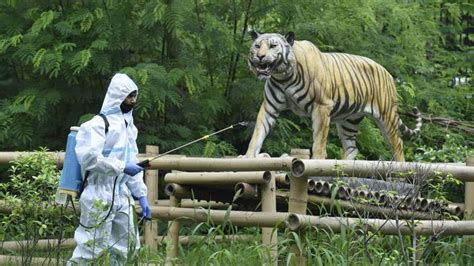 delhi zoo set  reopen today   shifts ticket booking   latest news delhi