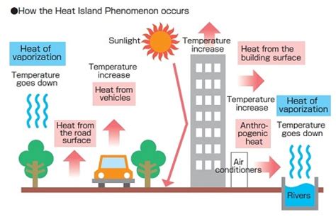 urban heat island  effects  mitigation measures public health notes