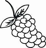 Grapes Anggur Mewarnai Grape Uva Kolase Marimewarnai Buahan Paud Koleksi Terbaru Bestcoloringpagesforkids sketch template
