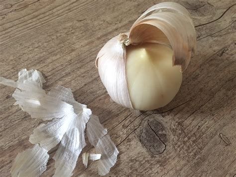 internet  fascinated   garlic     solid clove