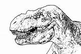 Rex Coloring Dinosaur Color Pages Adults Via sketch template