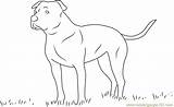 Coloring Dog Anatolian Shepherd Cute Pages Coloringpages101 Online sketch template