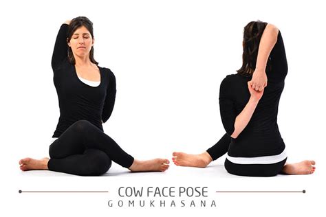 gomukhasana cows face pose benefits  gomukhasana