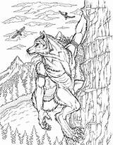 Werwolf Lupi Mannari Werewolf Lupo Mannaro sketch template