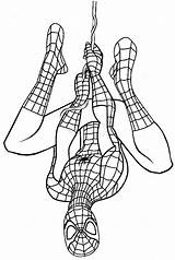 Spiderman Spider Avengers Boy sketch template