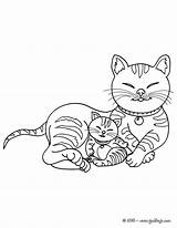 Gata Cria Chaton Chatons Kittens Bébé Animals Allaitant Coloriages sketch template