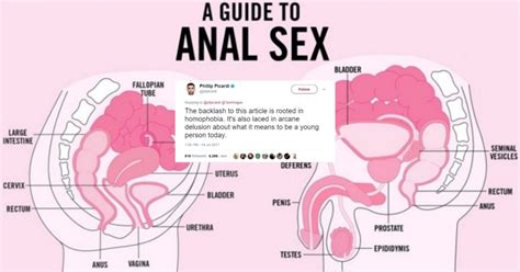 A Tweetstorm Defending Teen Vogue S Anal Sex Guide Is