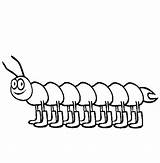 Centipede Coloring Pages Animals Insect Enjoy Millipede Summer Online Caterpillar Cute Legs Lot Kids 67kb 565px sketch template