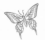 Butterfly Mewarnai Kupu Tattoo Paud Alamendah sketch template