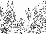 Algas Pesquisa Arrecifes Oceano sketch template